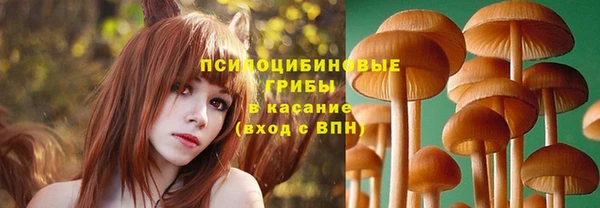 дживик Горно-Алтайск